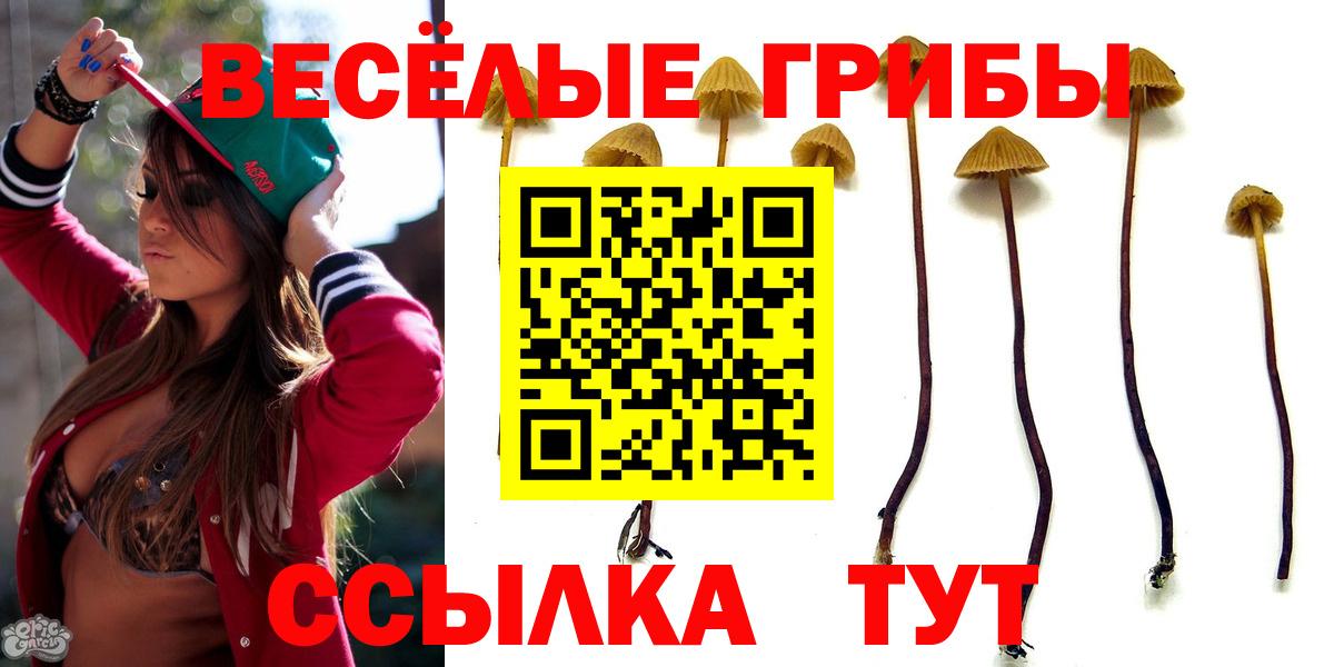 Галлюциногенные грибы мухоморы Шарыпово
