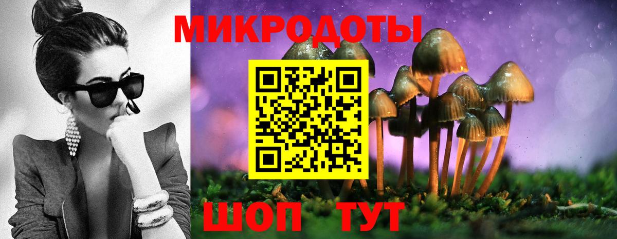 Шарыпово  Псилоцибиновые грибы прущие грибы  Вход с VPN 